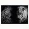 Designart - Leopard and Tiger in Black - Animal Framed Canvas Art Print